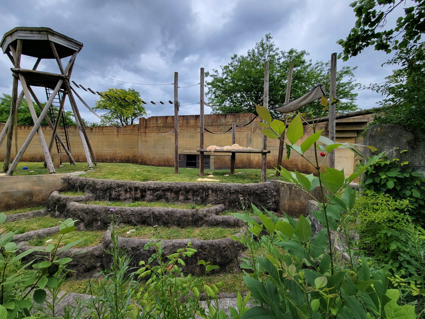 Columbus Zoo - Orangutan viewing