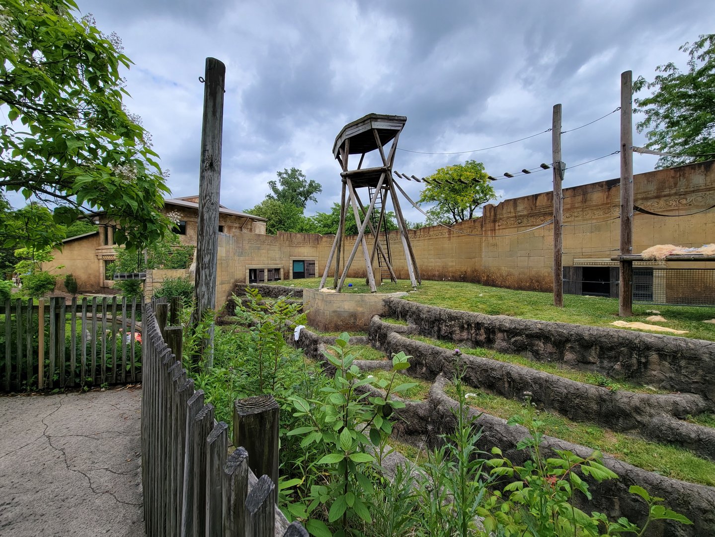 Columbus Zoo - Orangutan viewing