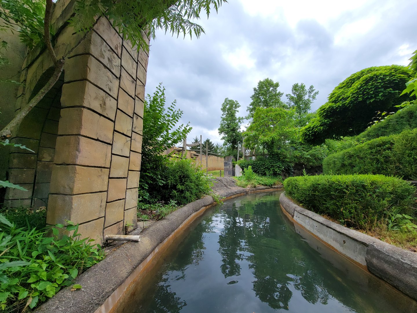 Columbus Zoo - Orangutans from boat ride
