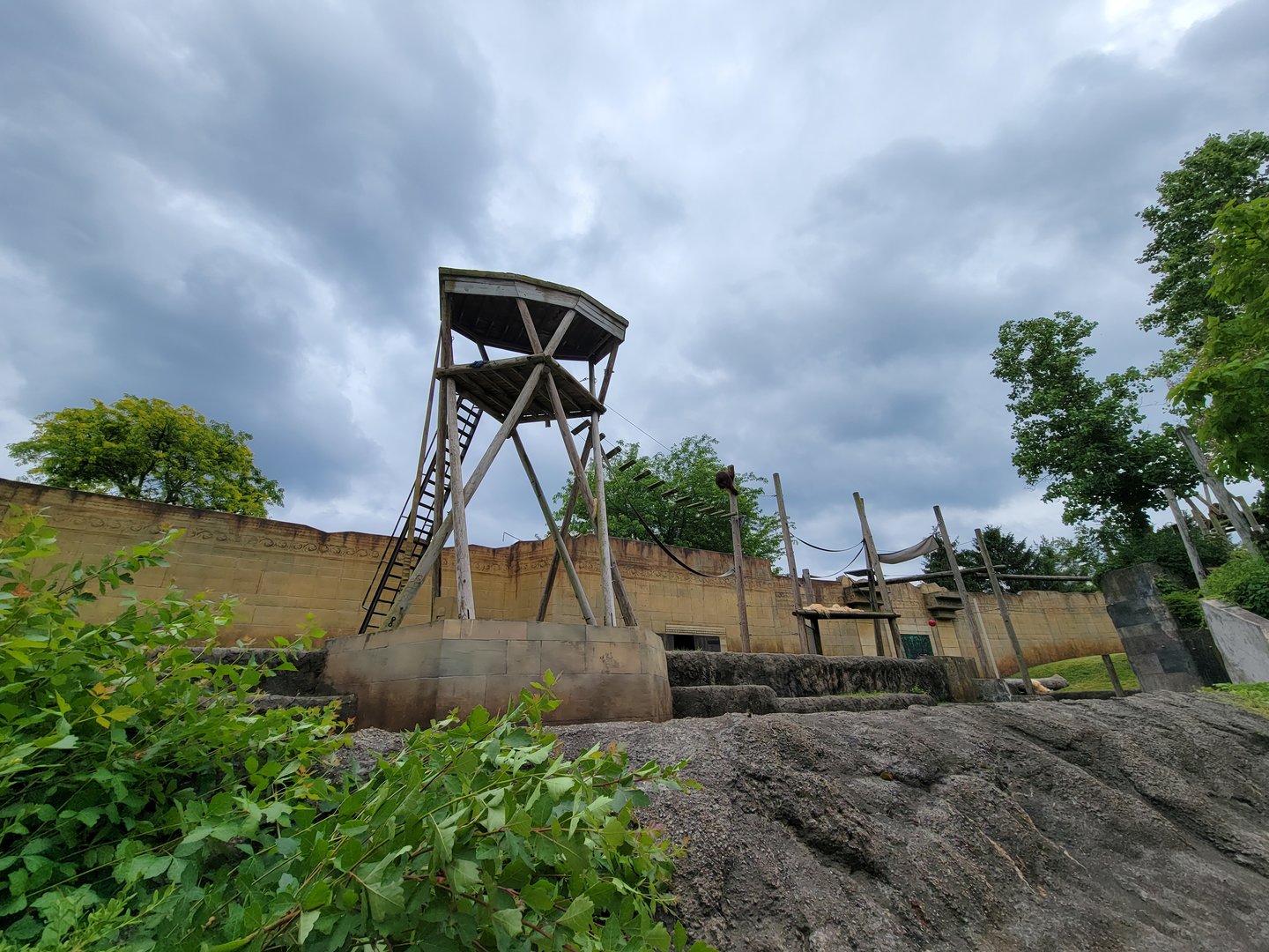 Columbus Zoo - Orangutans from boat ride