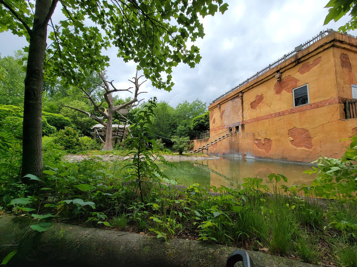 Columbus Zoo - Other side of gibbon island from boat ride