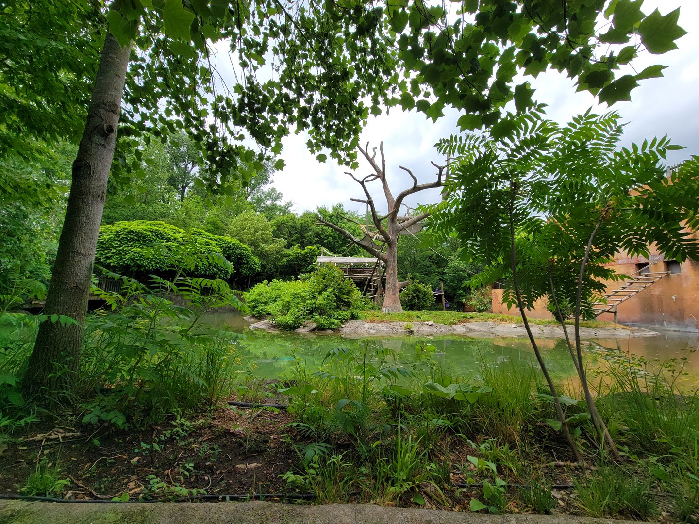 Columbus Zoo - Other side of gibbon island from boat ride