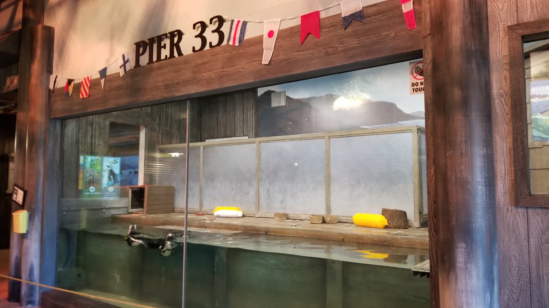 Columbus Zoo - Penguins