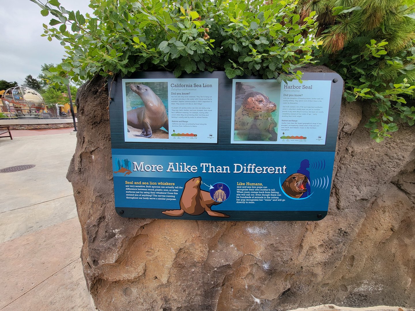 Columbus Zoo - Pinniped sign