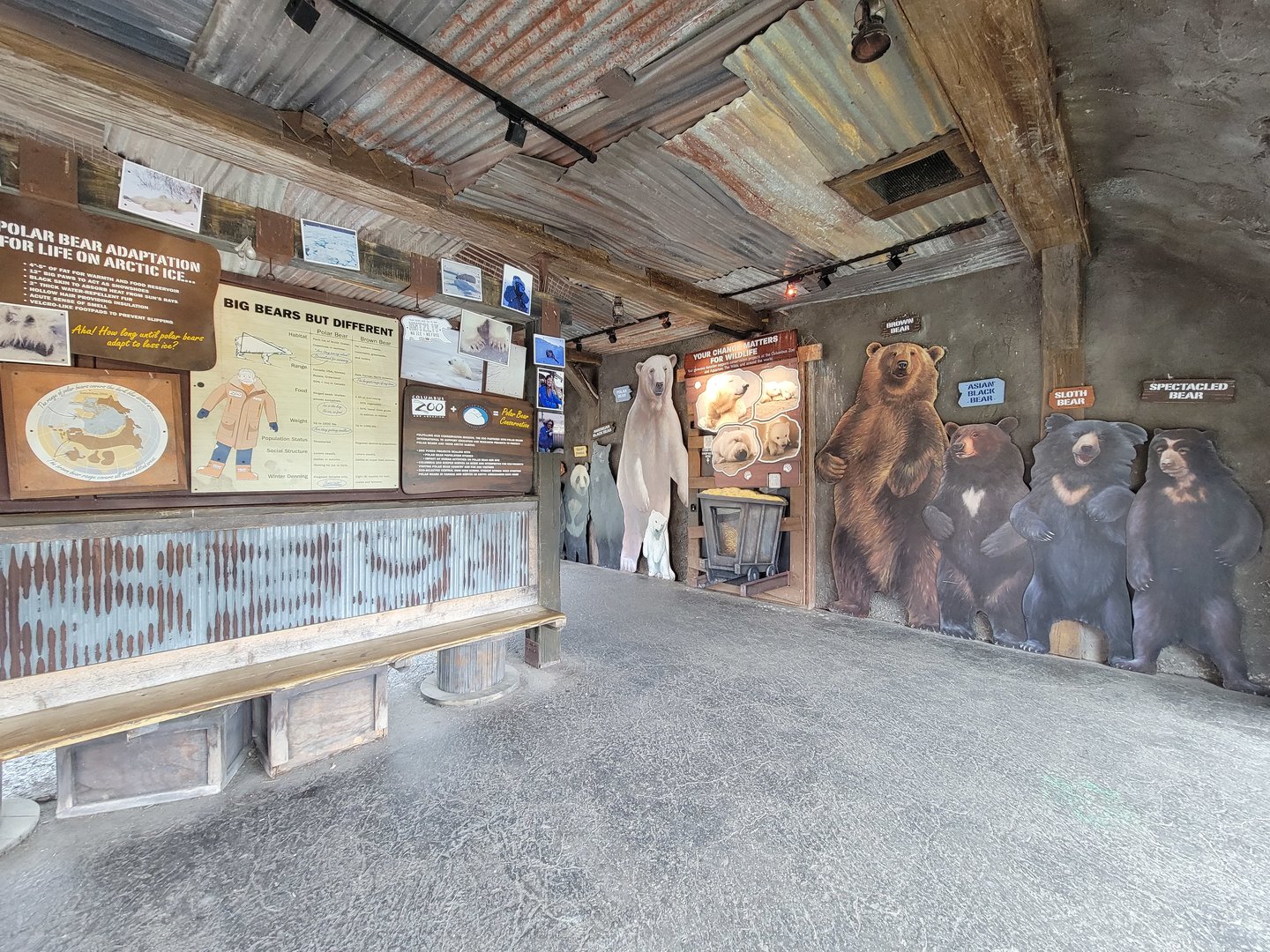 Columbus Zoo - Polar Frontier, Bear information