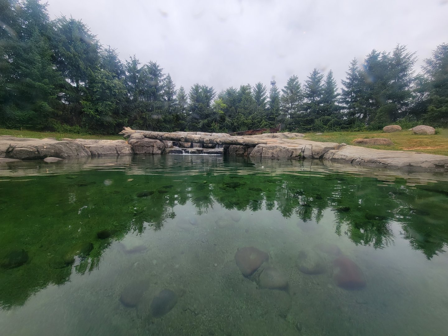 Columbus Zoo - Polar Frontier, Brown bear pool