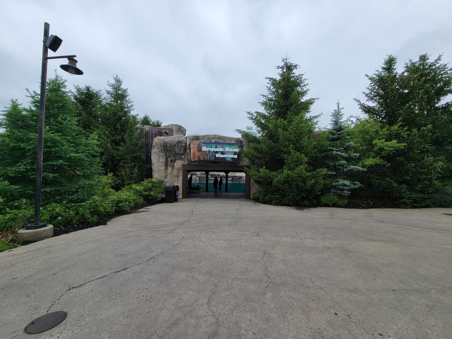 Columbus Zoo - Polar Frontier, Brown bear viewing