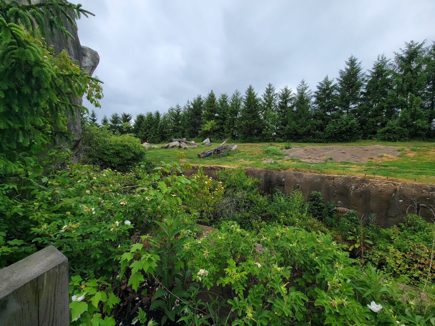 Columbus Zoo - Polar Frontier, Brown bears