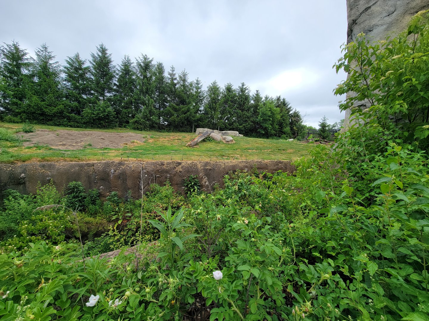 Columbus Zoo - Polar Frontier, Brown bears