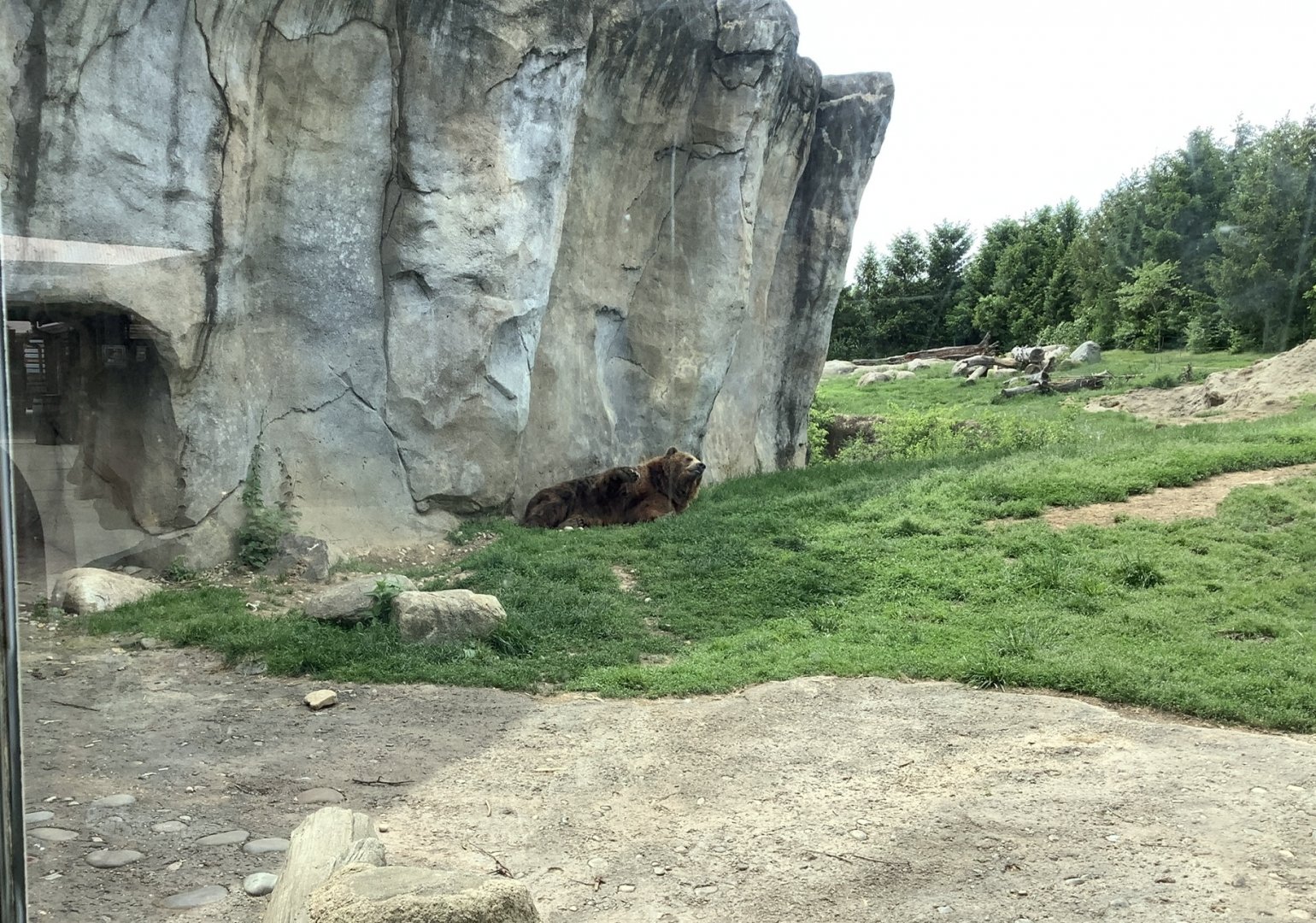 Columbus Zoo - Polar Frontier - Grizzly Bear Exhibit