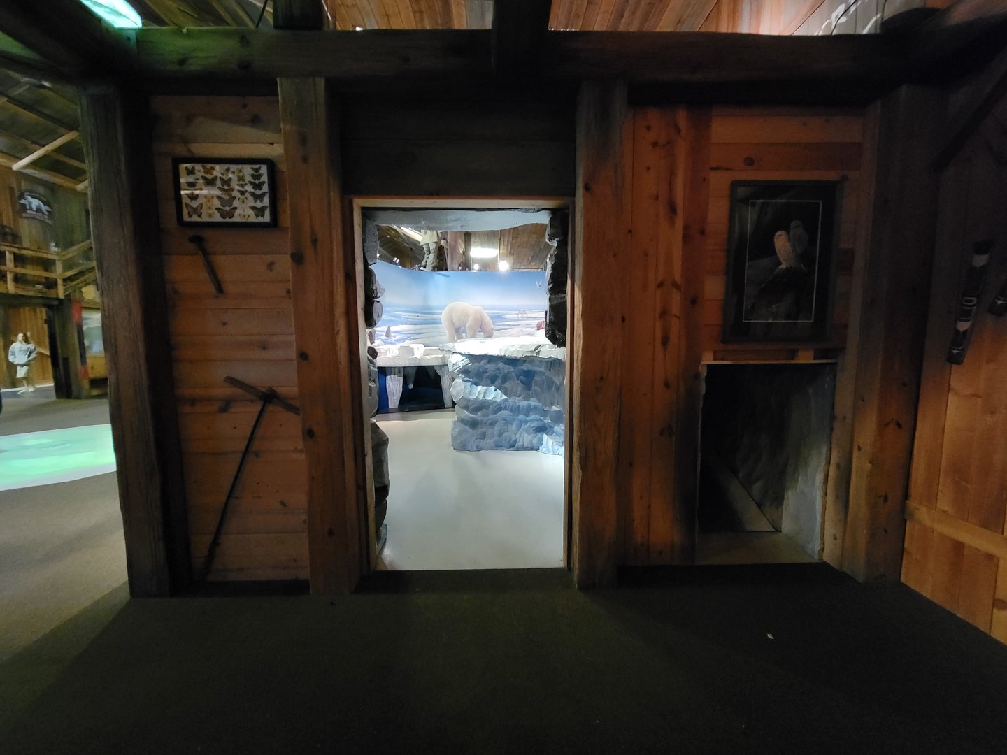 Columbus Zoo - Polar Frontier, Inside building, play area across from arctic fox indoor viewing