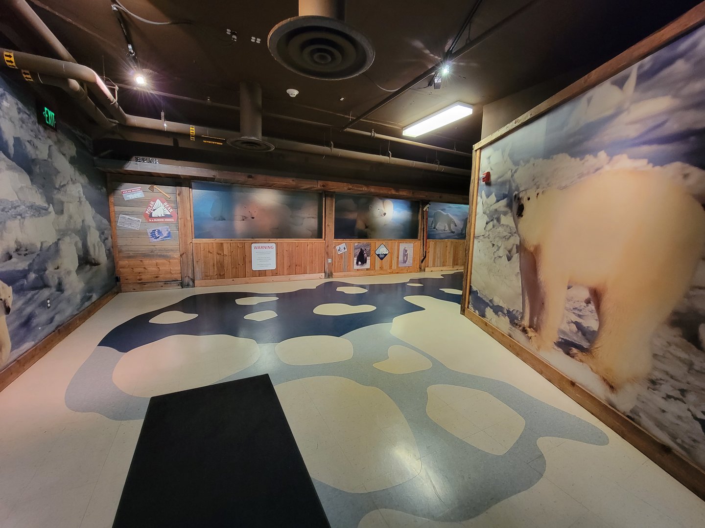Columbus Zoo - Polar Frontier, Inside building