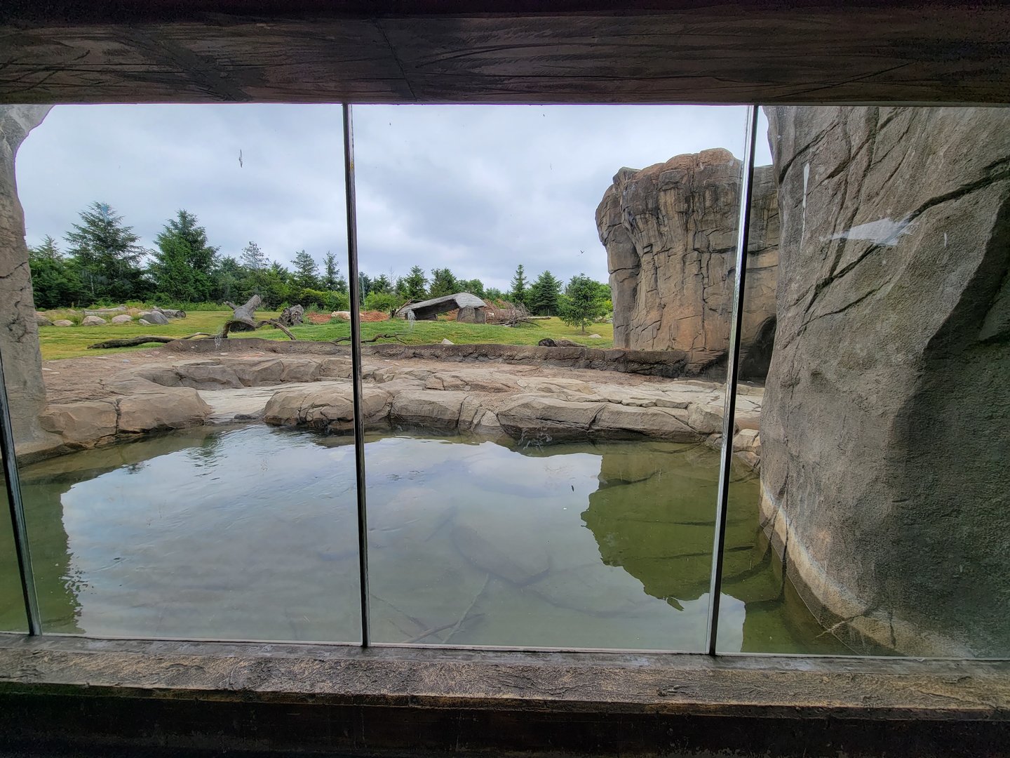 Columbus Zoo - Polar Frontier, Polar bears