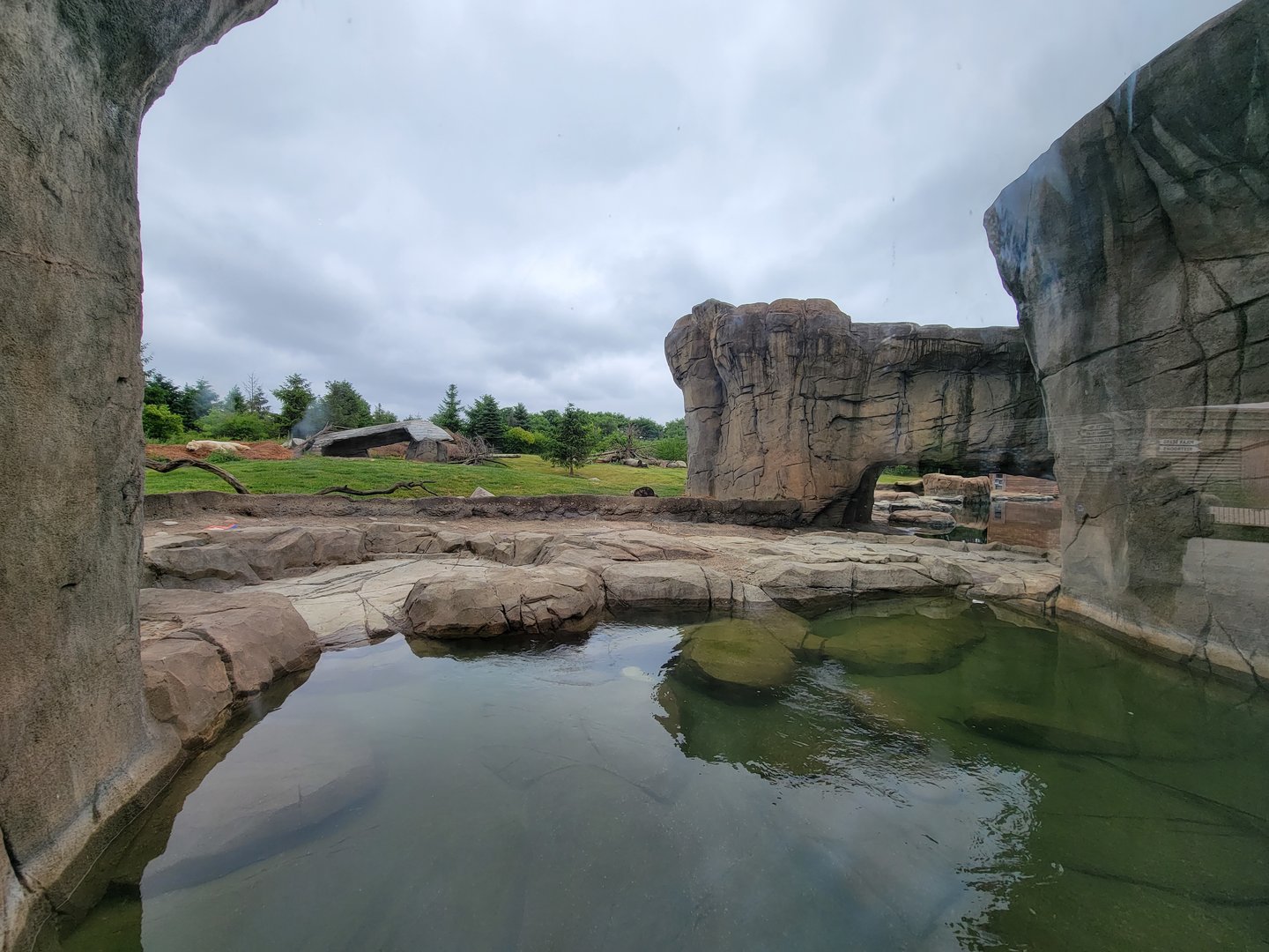 Columbus Zoo - Polar Frontier, Polar bears