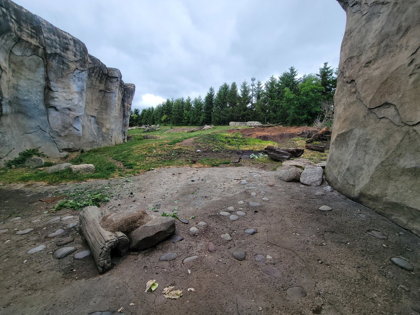 Columbus Zoo - Polar Frontier, Polar bears
