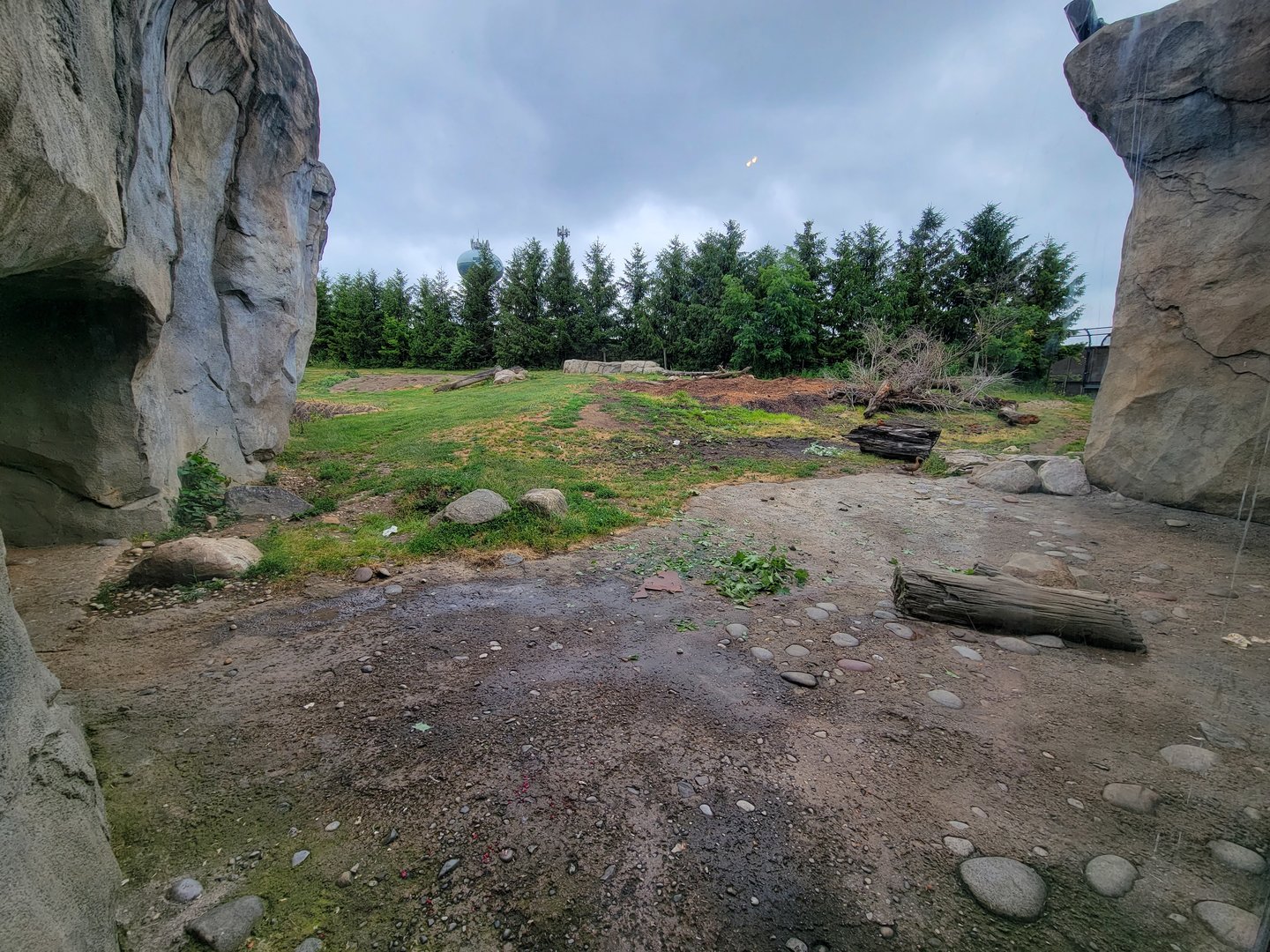 Columbus Zoo - Polar Frontier, Polar bears