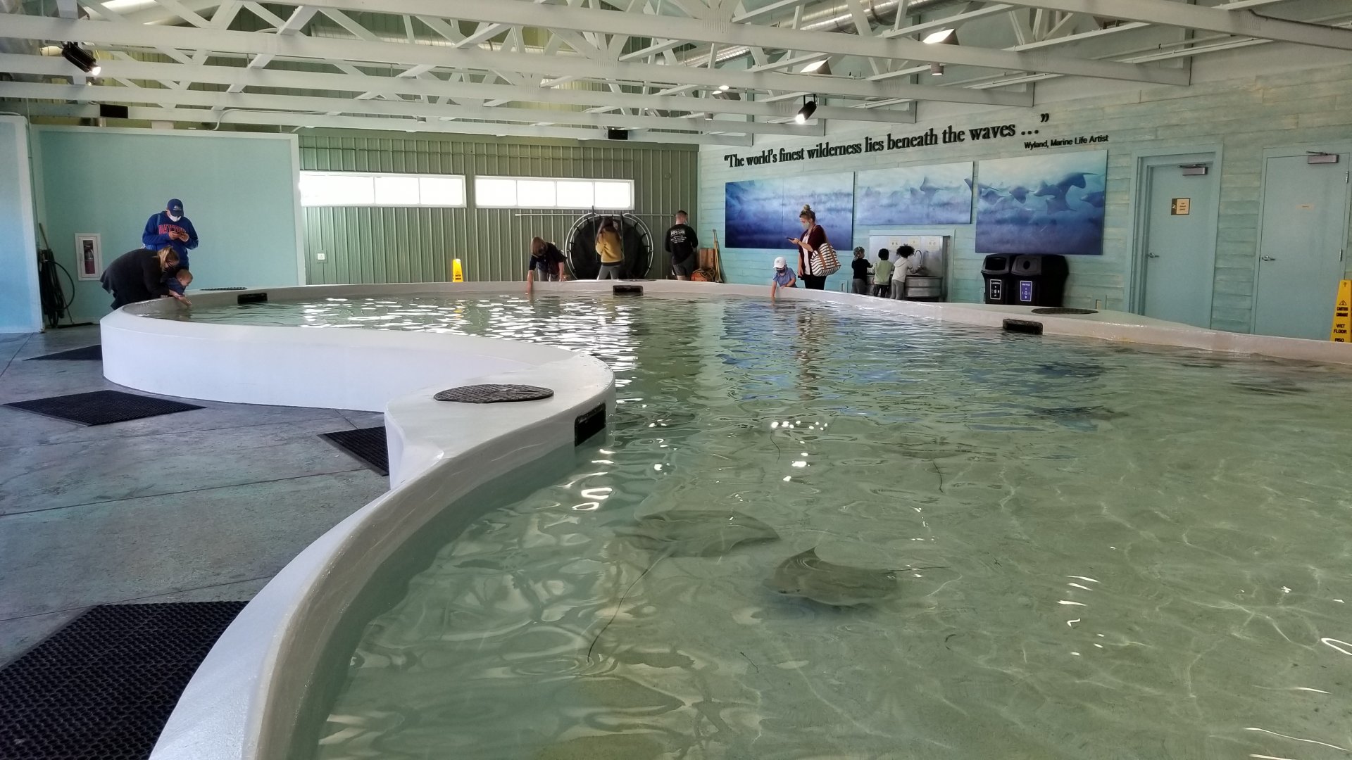 Columbus Zoo - Ray touch area