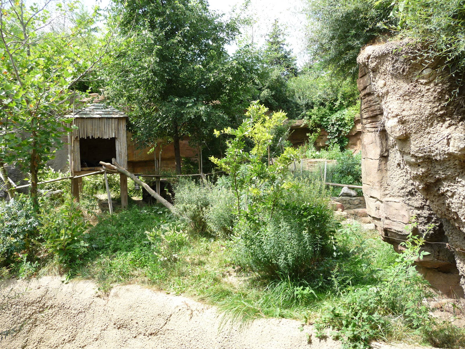 Columbus Zoo - Red Panda Exhibit