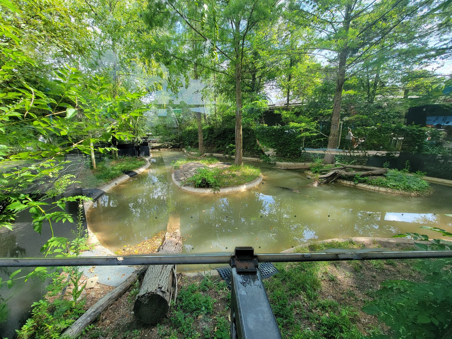 Columbus Zoo - Reptiles, American alligators