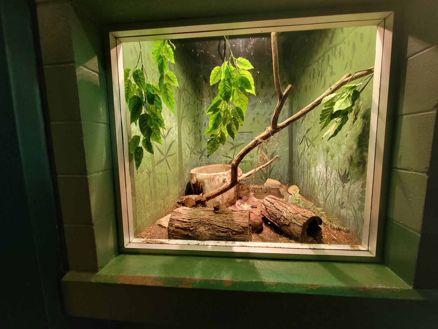 Columbus Zoo - Reptiles, Blood python