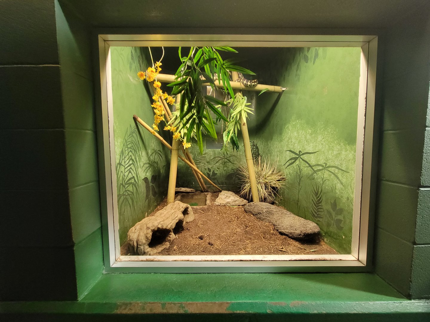 Columbus Zoo - Reptiles, Carpet python