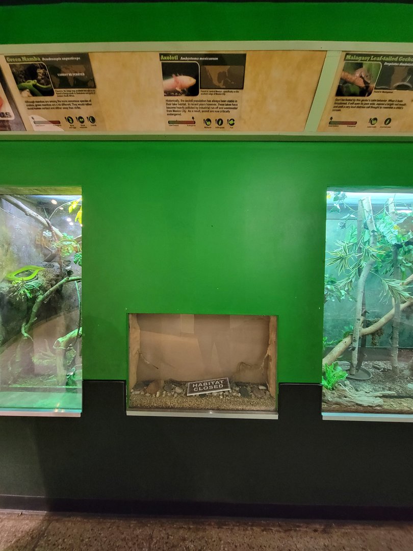 Columbus Zoo - Reptiles, Empty axolotl exhibit