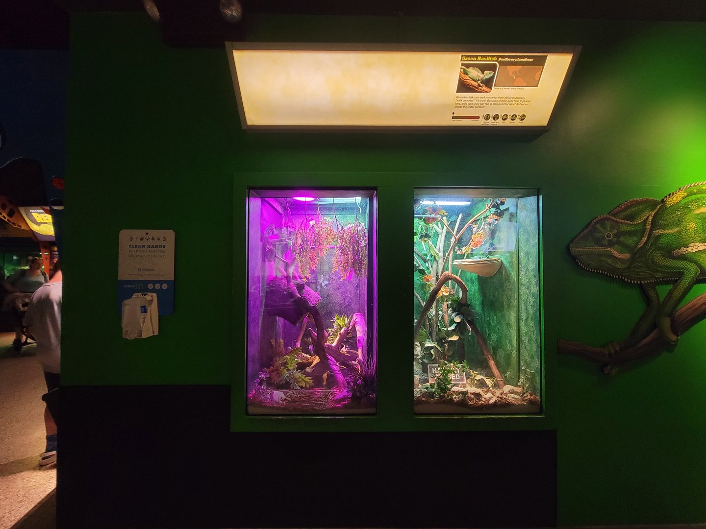 Columbus Zoo - Reptiles, "empty" exhibits