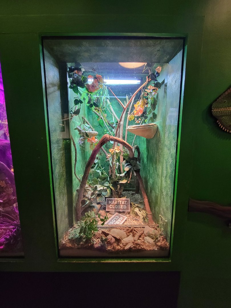 Columbus Zoo - Reptiles, Empty plumed basilisk/green basilisk exhibit