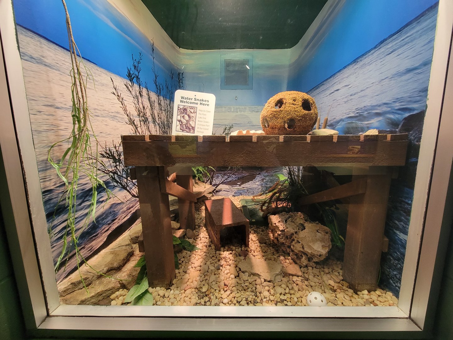 Columbus Zoo - Reptiles, Lake Erie water snake