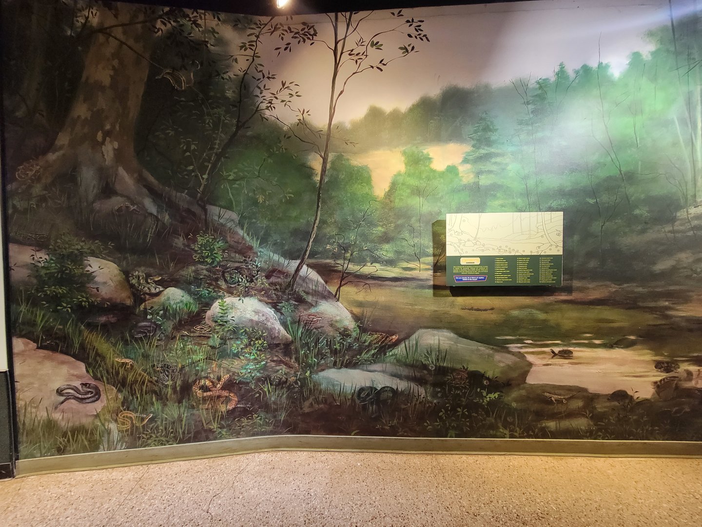 Columbus Zoo - Reptiles, Mural of native species