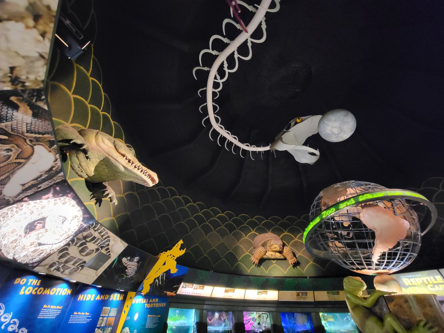 Columbus Zoo - Reptiles, rotunda area above