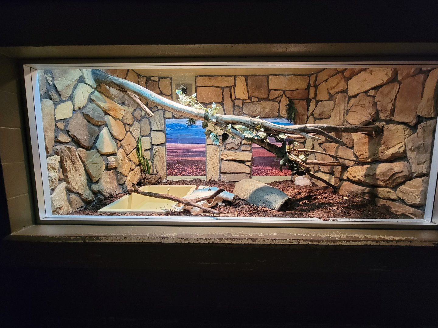 Columbus Zoo - Reptiles, Scrub python