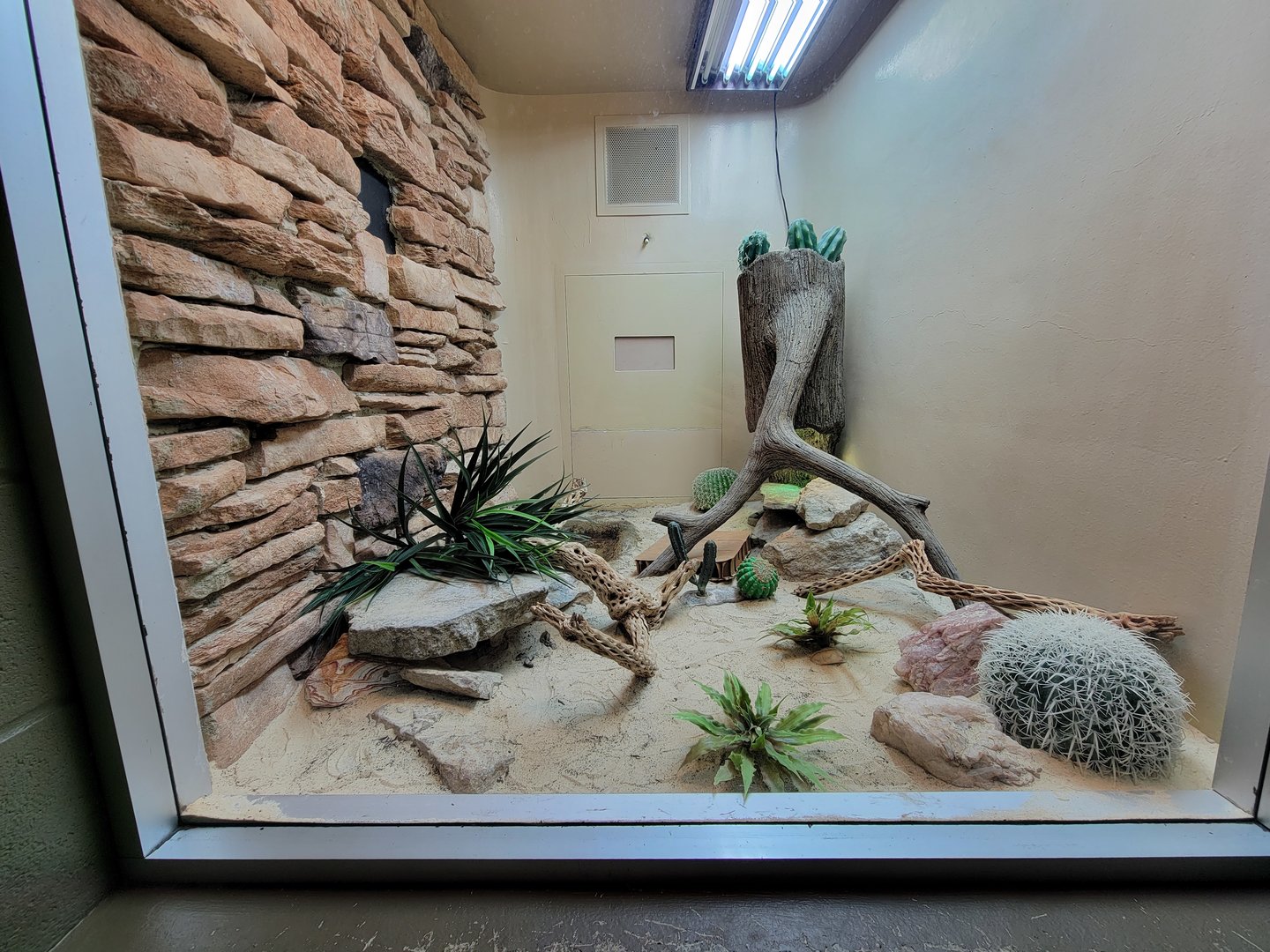 Columbus Zoo - Reptiles, Sidewinder and banded rock rattlesnake