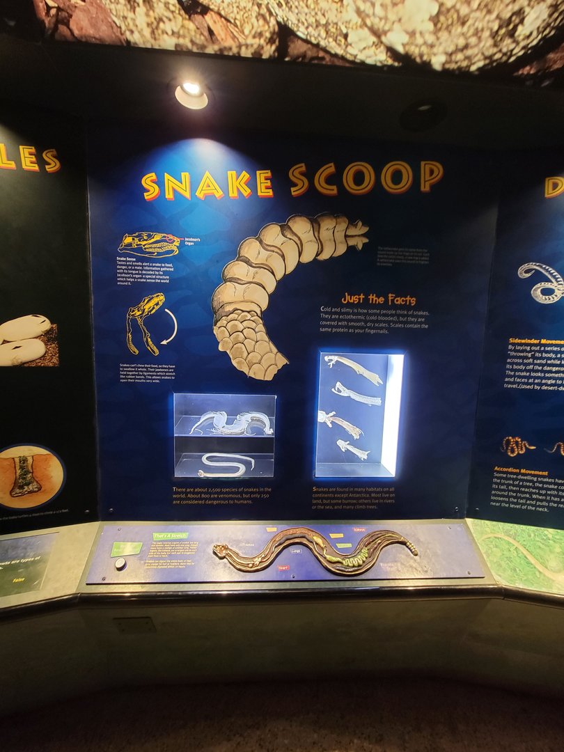 Columbus Zoo - Reptiles, "Snake Scoop", example of information in rotunda