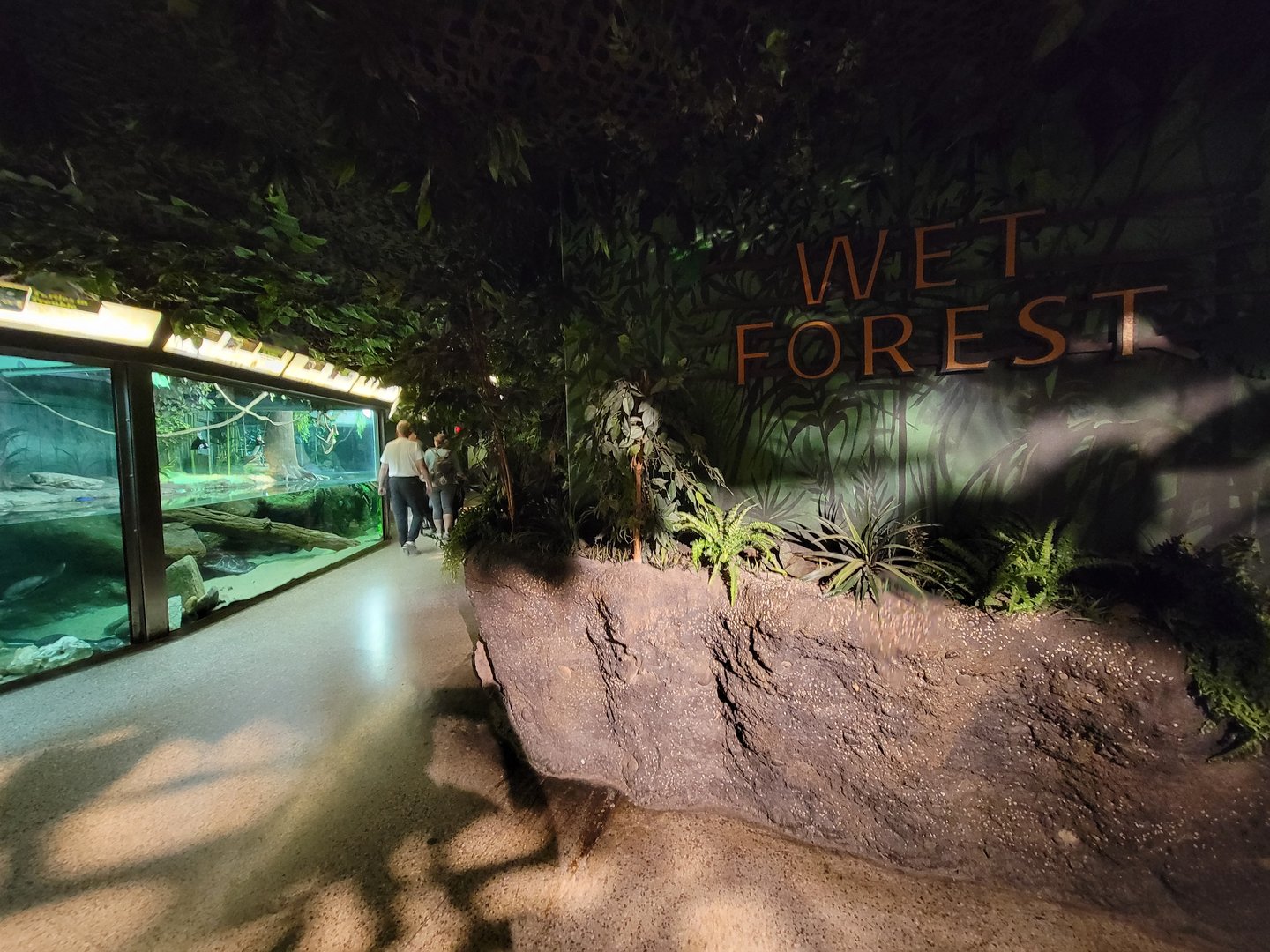 Columbus Zoo - Reptiles, Wet Forest entrance