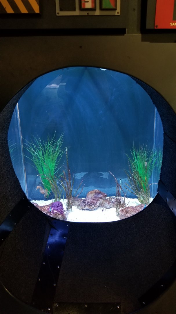 Columbus Zoo - Seahorses