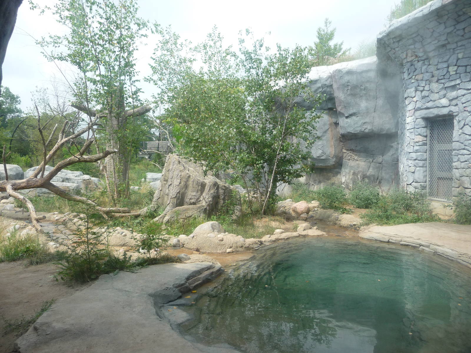 Columbus Zoo - Siberian Tiger Exhibit
