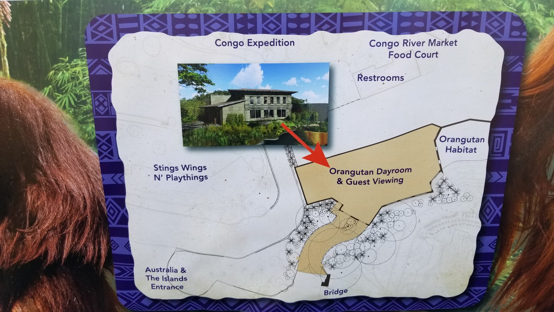 Columbus Zoo - Sign about future orangutan building