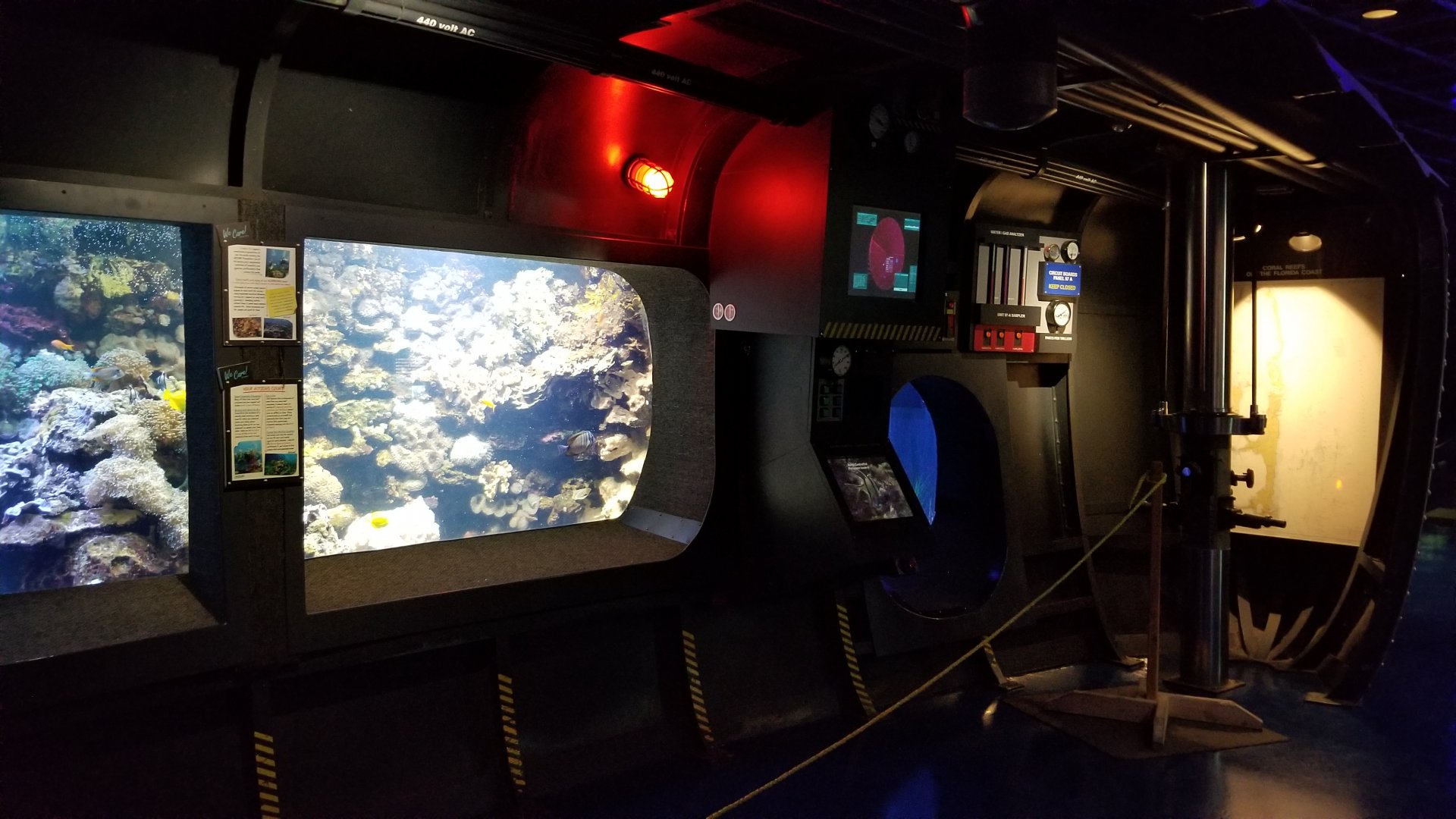 Columbus Zoo - Small tank area of aquarium