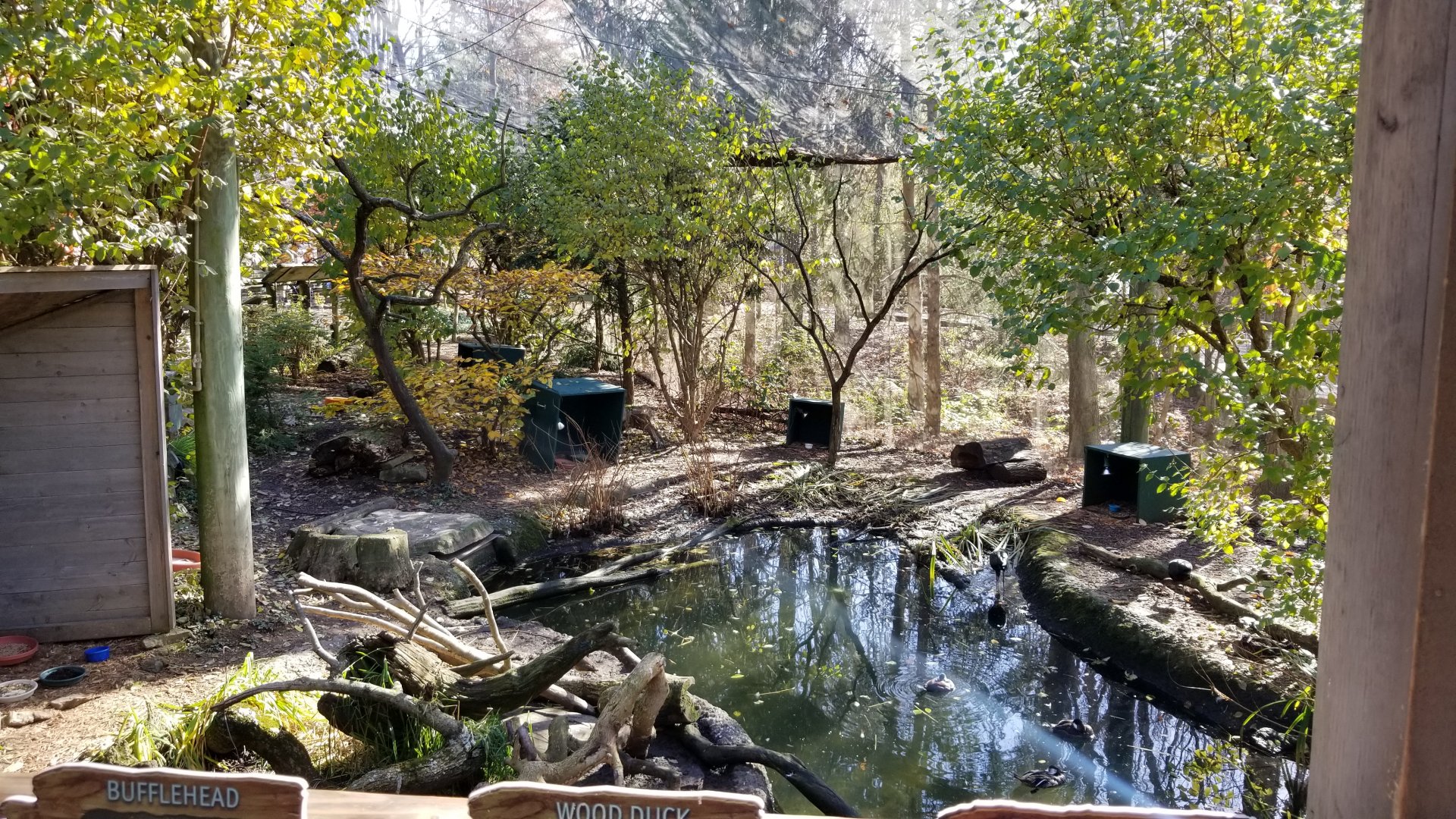 Columbus Zoo - Songbird aviary, duck area