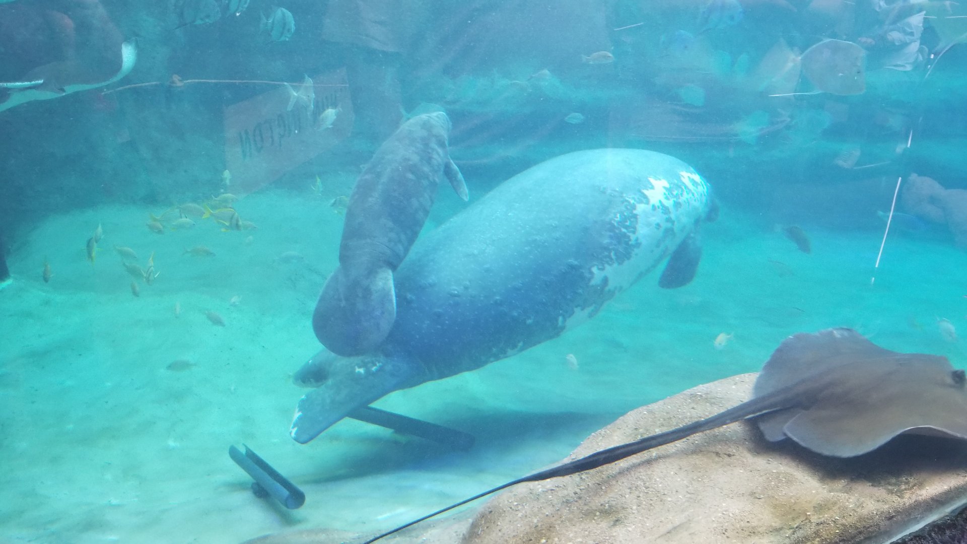 Columbus Zoo - Squirrel and Stumpy