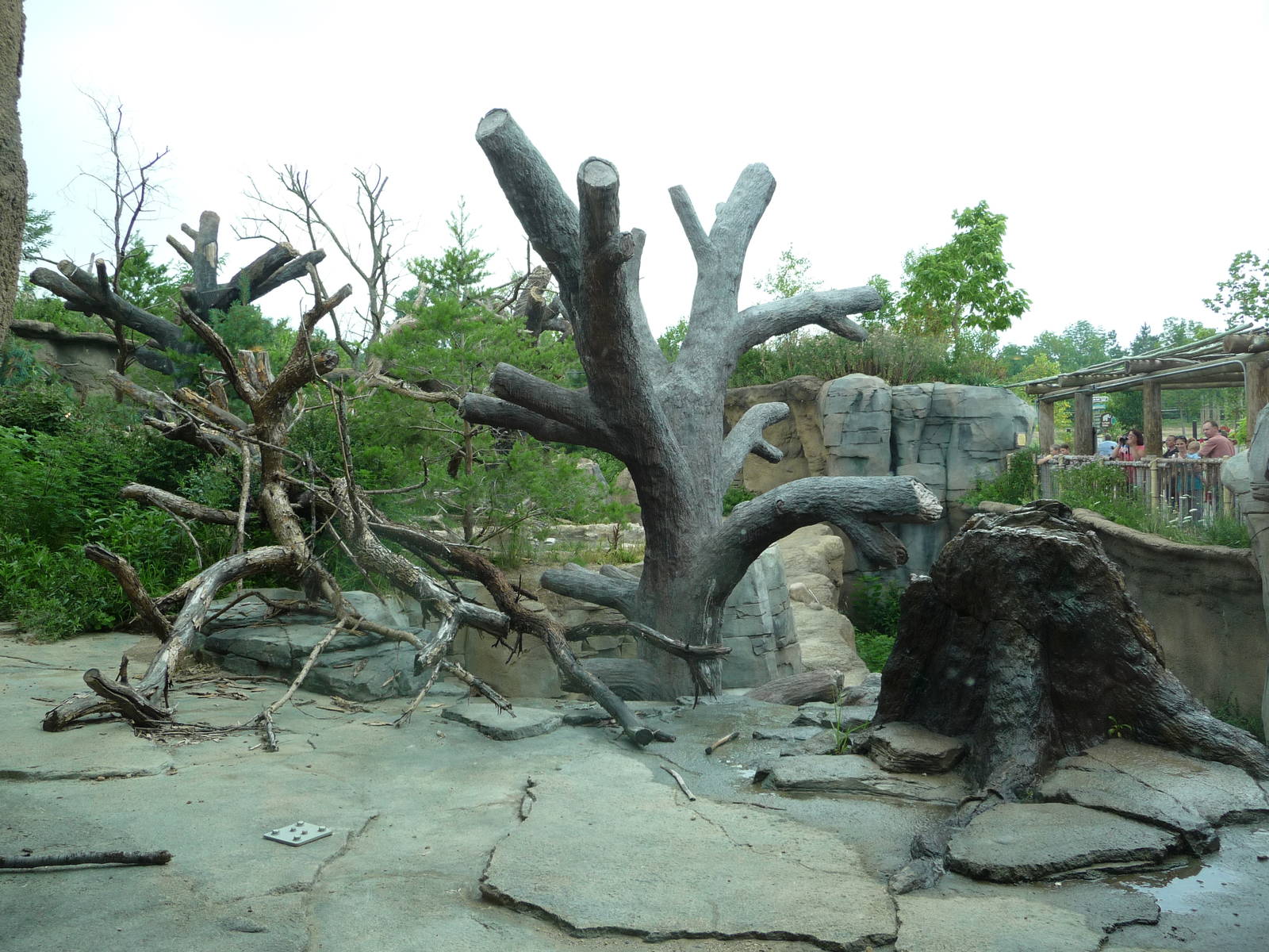 Columbus Zoo - Sun Bear Exhibit