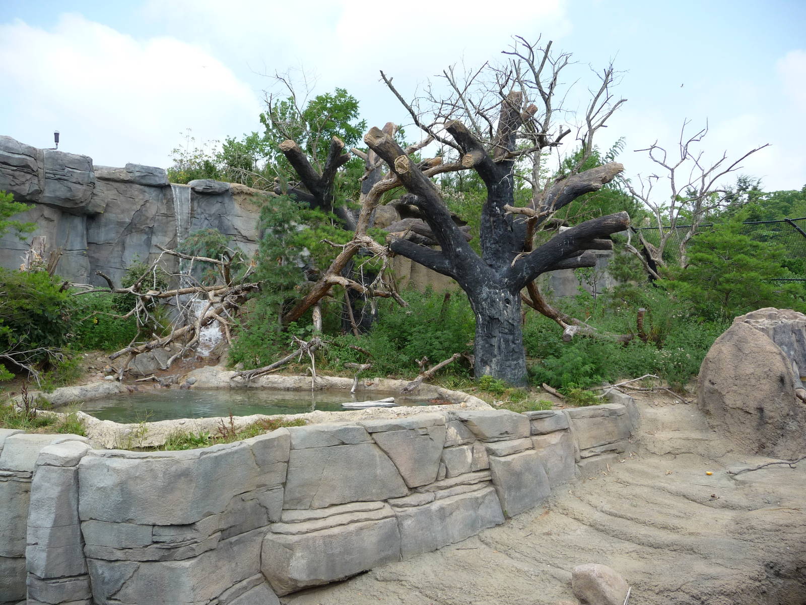 Columbus Zoo - Sun Bear Exhibit