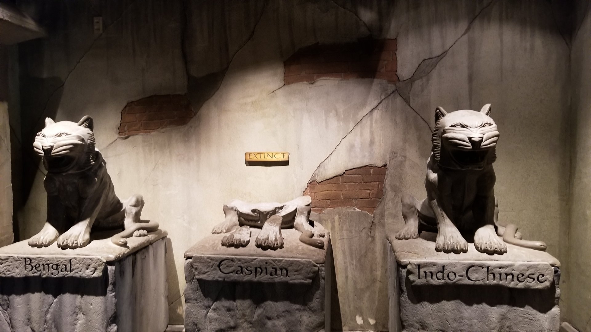 Columbus Zoo - Tiger subspecies statues