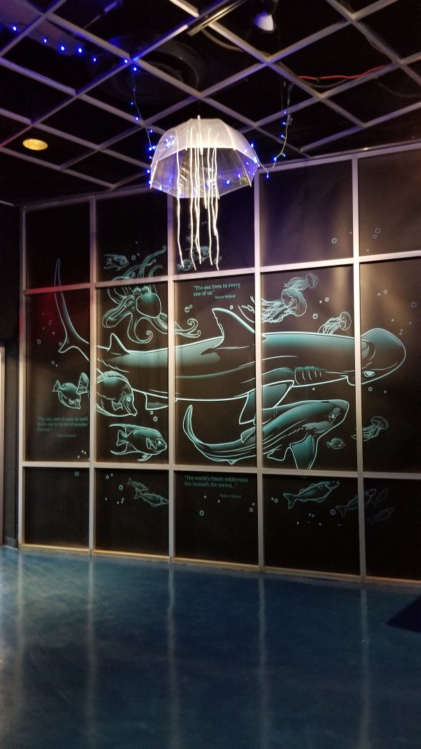 Columbus Zoo - Wall inside aquarium