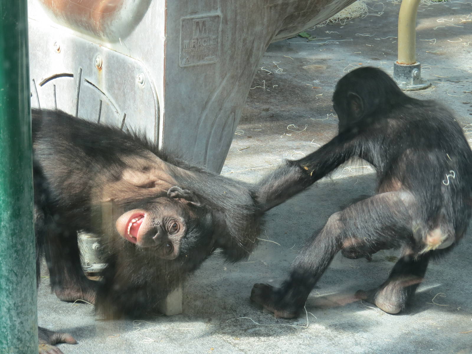 Come on ! Play Nice !