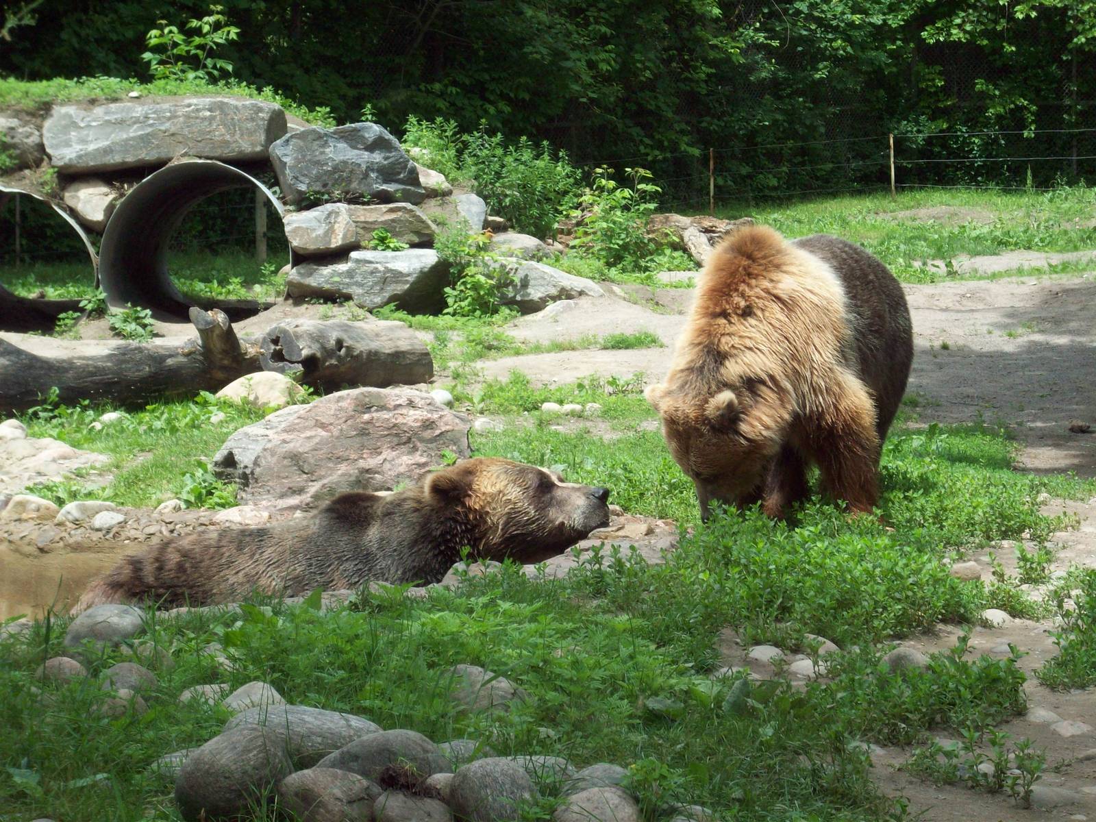 Come on, swim with me!