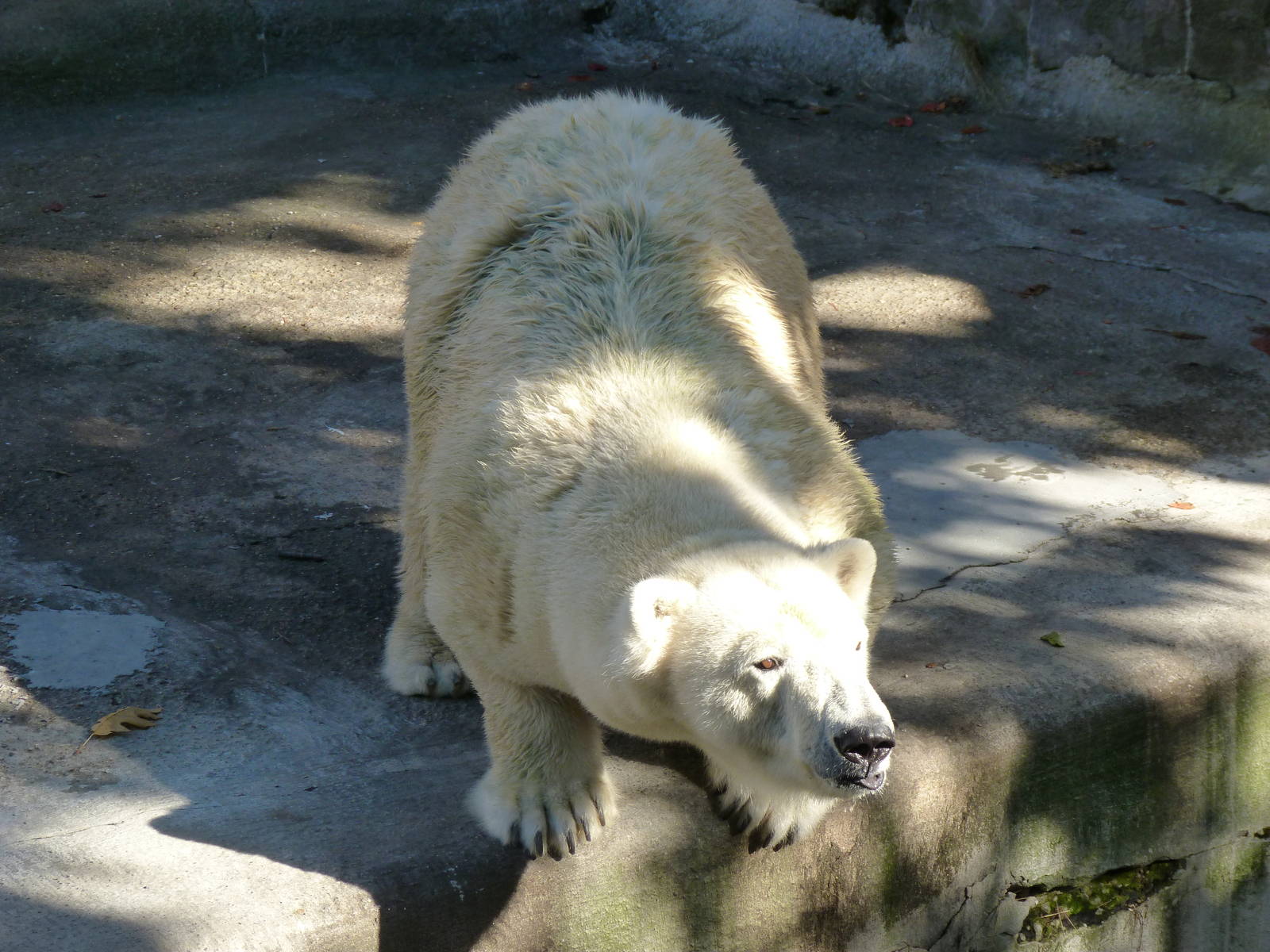 Come say that to my face...