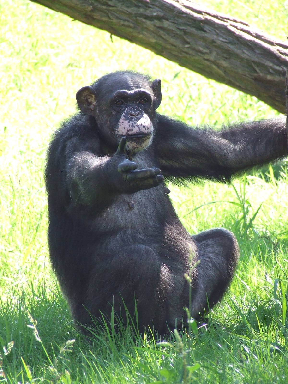 "Come with me if you want to live" (suggested by Chlidonias) ;)