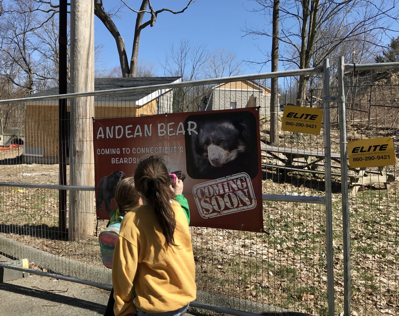Coming Soon - Andean Bears return to Beardsley Zoo